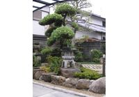 2010_10040051-300x400