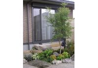 2010_10040061-300x400