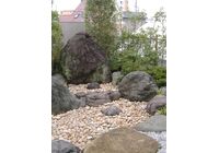 2010_10040007-300x400