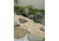 2010_10040009-300x400