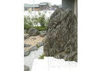 2010_10040013-300x400