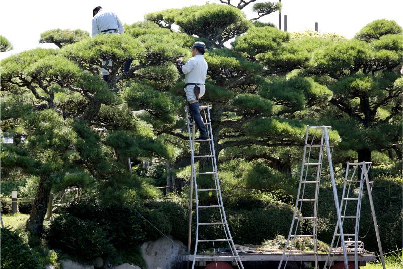 5. アフターケア